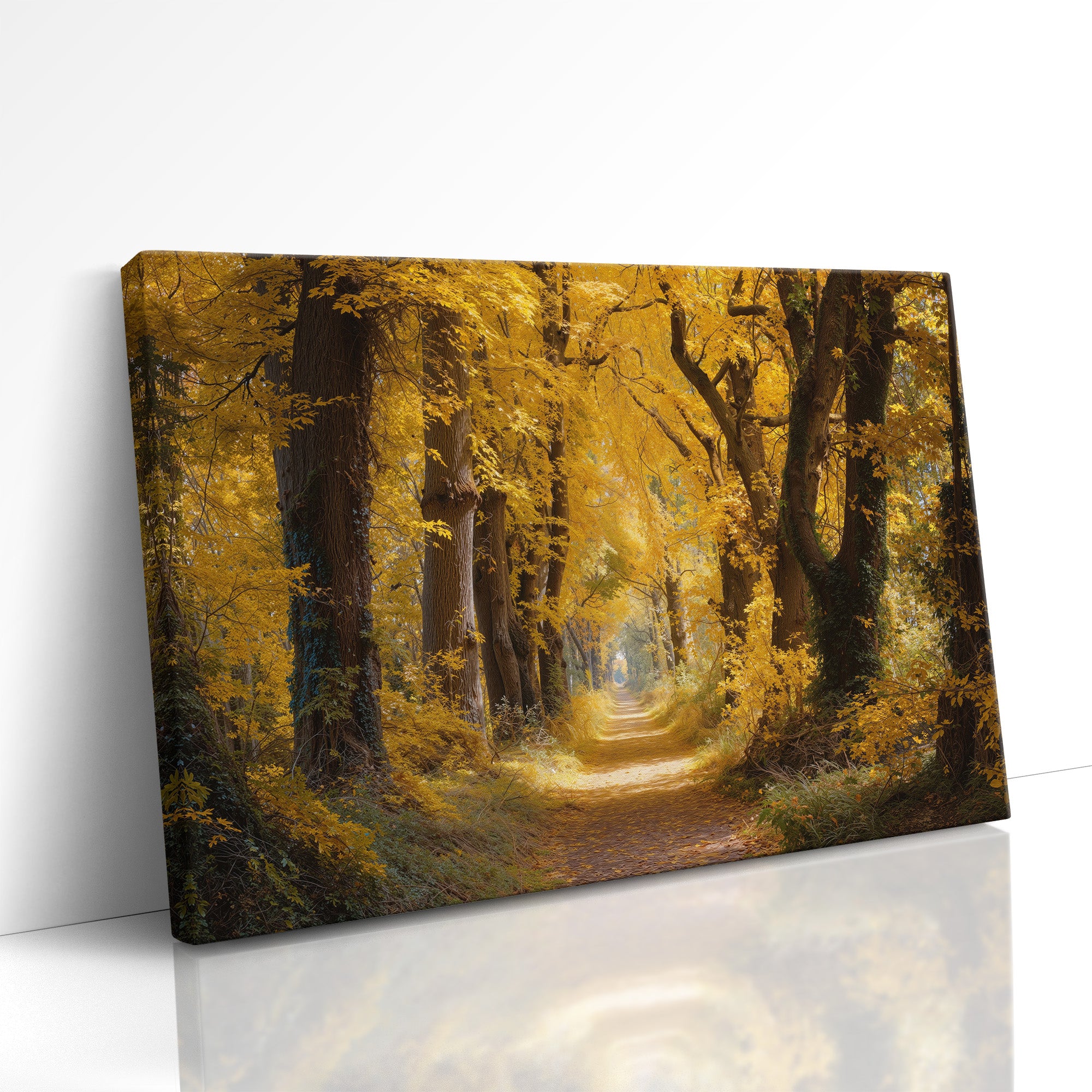 The Corridor of Changing Seasons