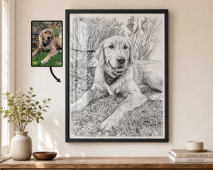 A framed black-and-white portrait drawing of a golden retriever dog hanging on a beige wall above a wooden shelf with a vase and books. To the left, a smaller inset photo of the dog appears with an arrow pointing toward the artwork, suggesting a custom pet portrait service.