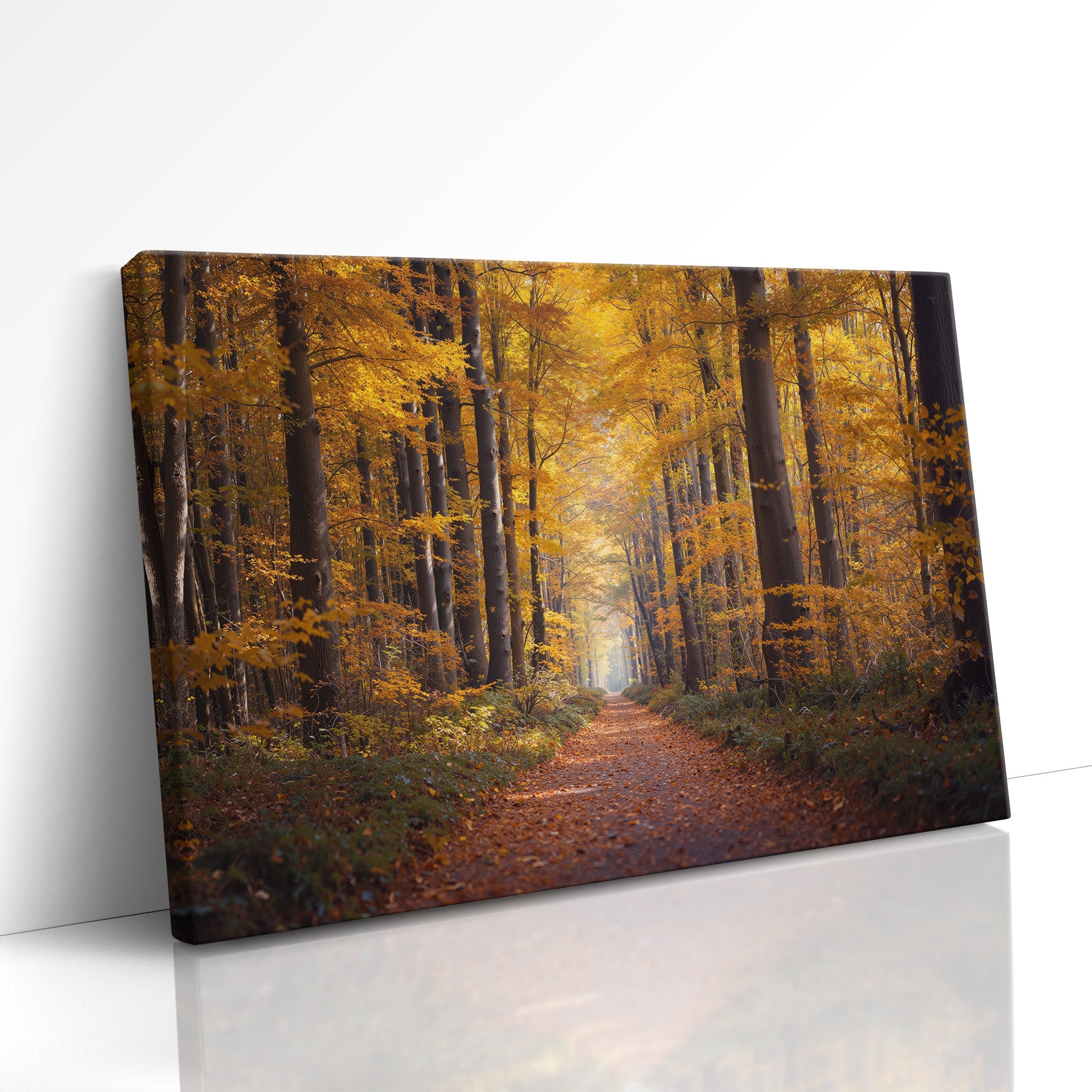 The Path of Falling Light