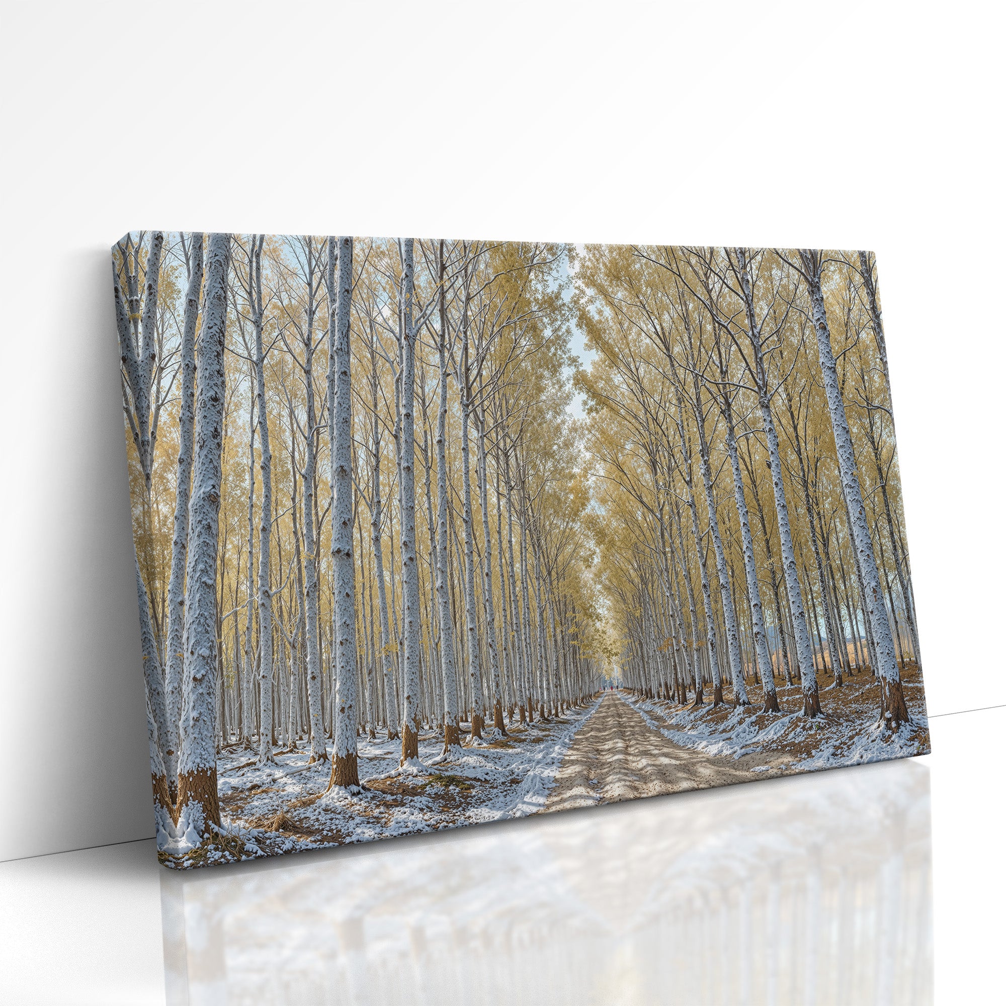 Where Autumn Meets Winter