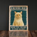 Personalized Funny Cat Bathroom Decor Canvas Print For Cat Mom, Custom Gift For Cat Lover, Were You Trying To Poop Alone