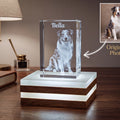 Custom Pet Portrait 3D Crystal Engraving With Light Base