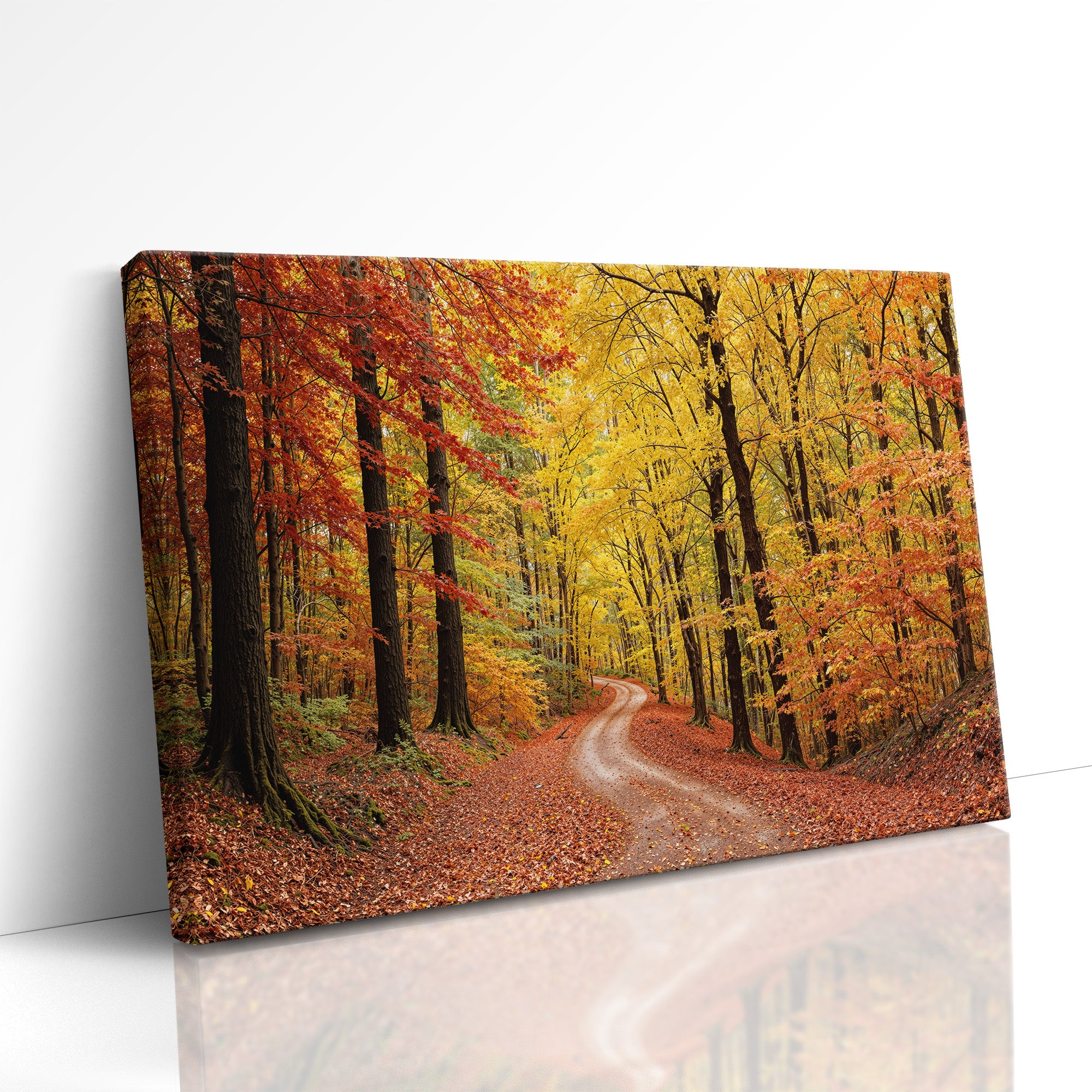 Through the Veil of Autumn Gold