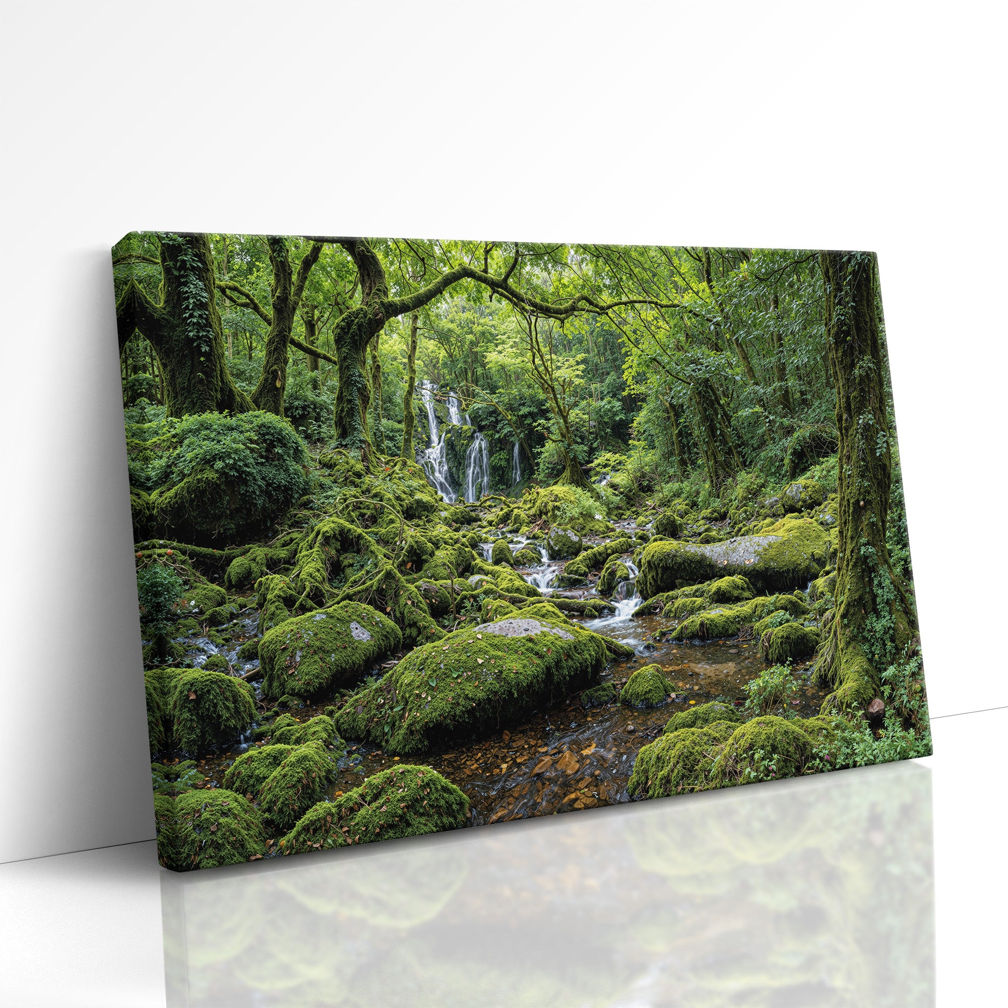 Falls of the Ancient Thicket