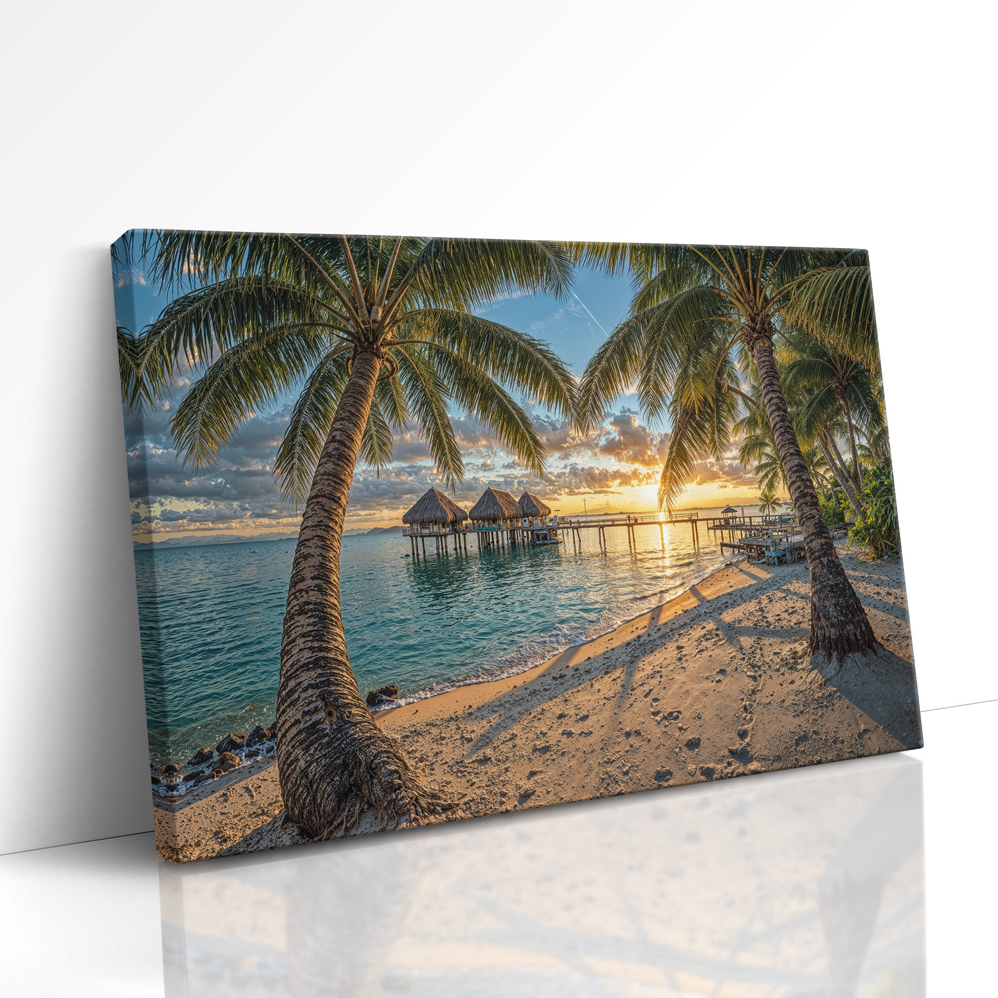 Where Palms Hold the Sky