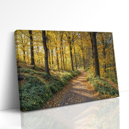 A Walk Through Harvest Light