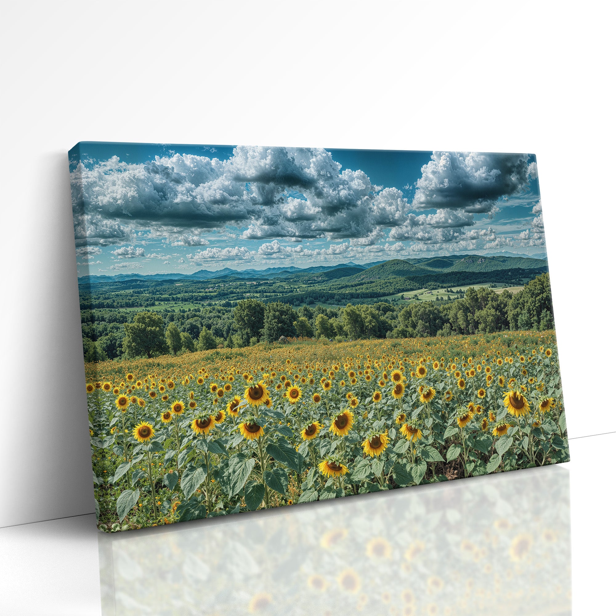 Sunflowers and Farmland Hills