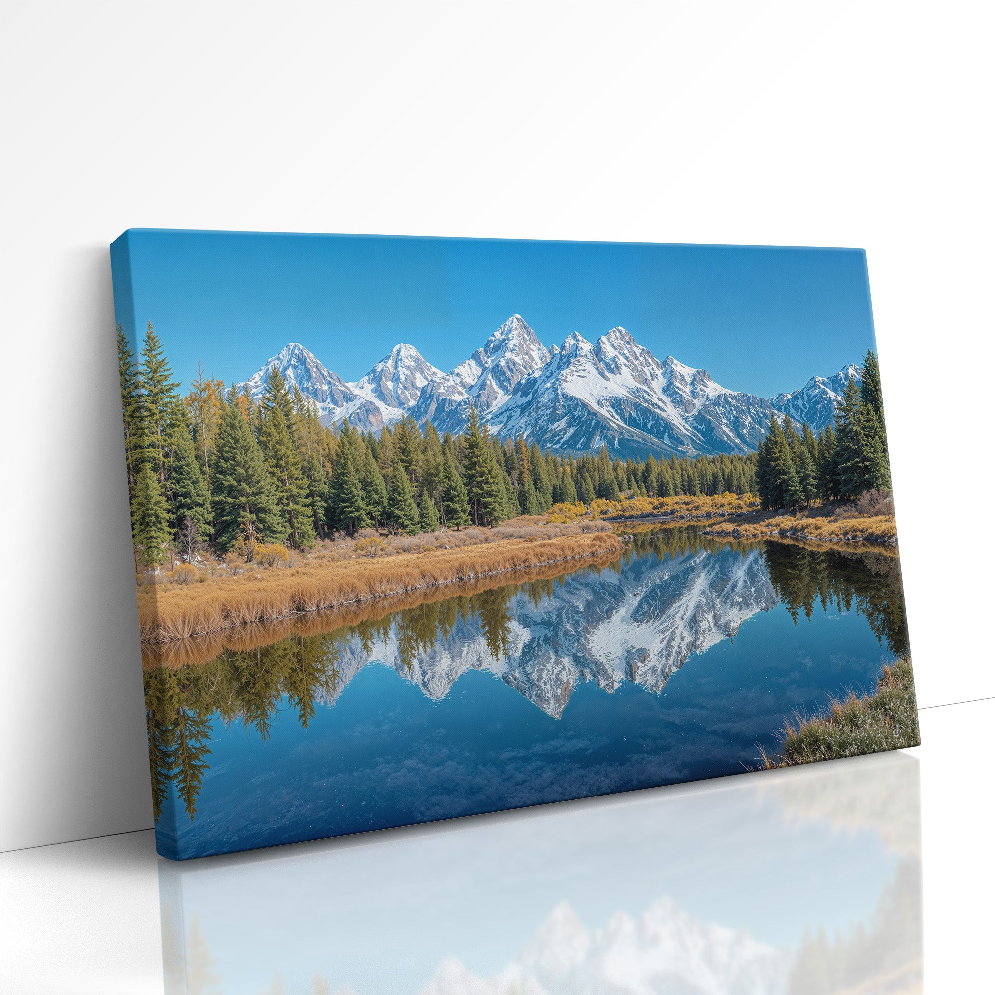 The Mirror of Snow and Pines