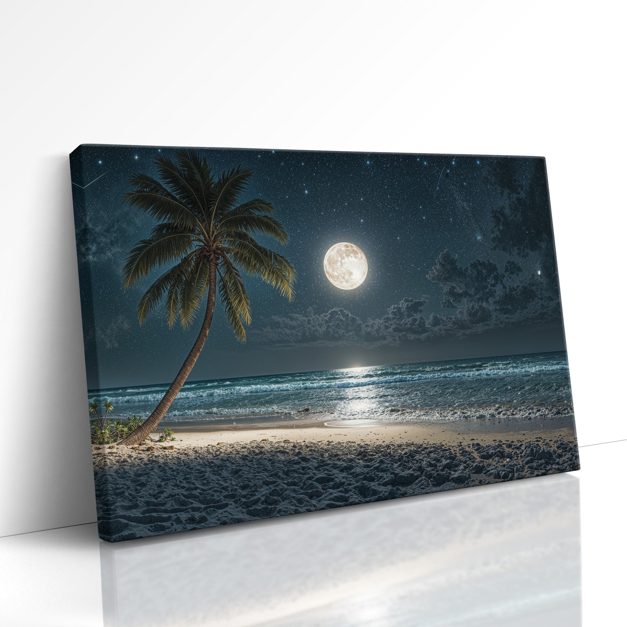 Whispers Beneath a Silver Sky