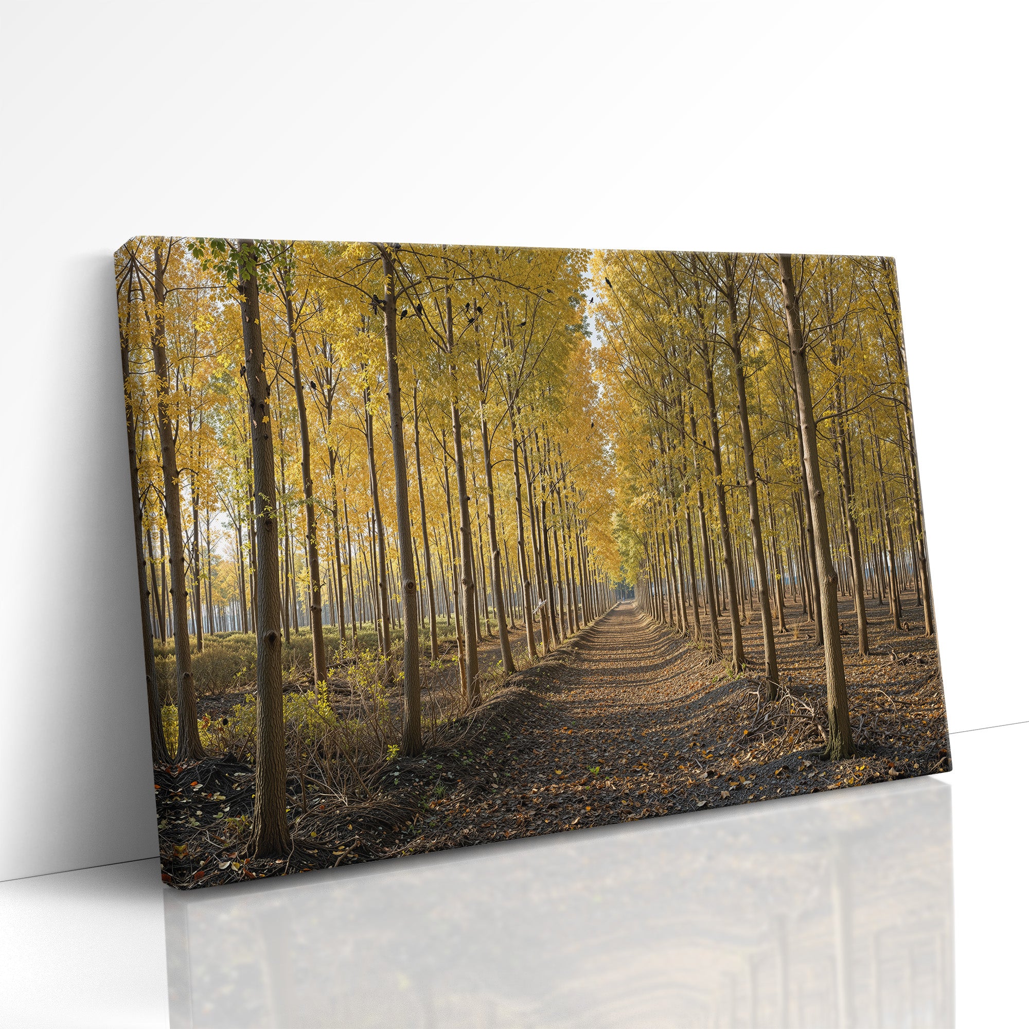 Whispers Through the Birchway