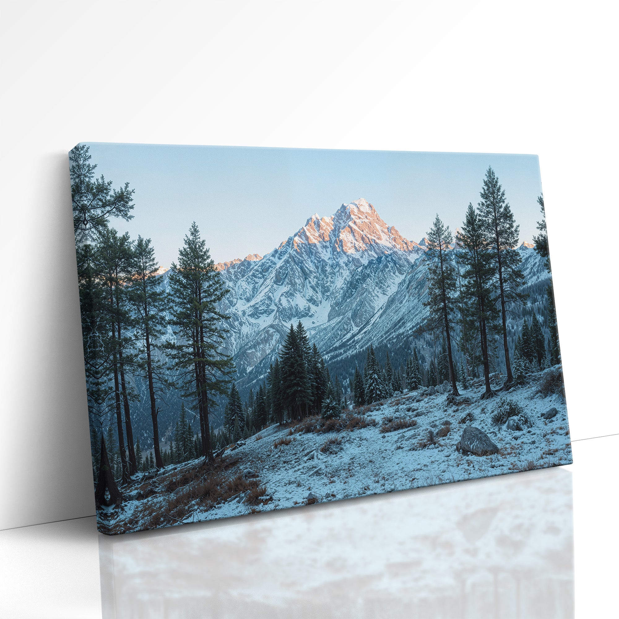 Where Pines Guard the Sleeping Summit