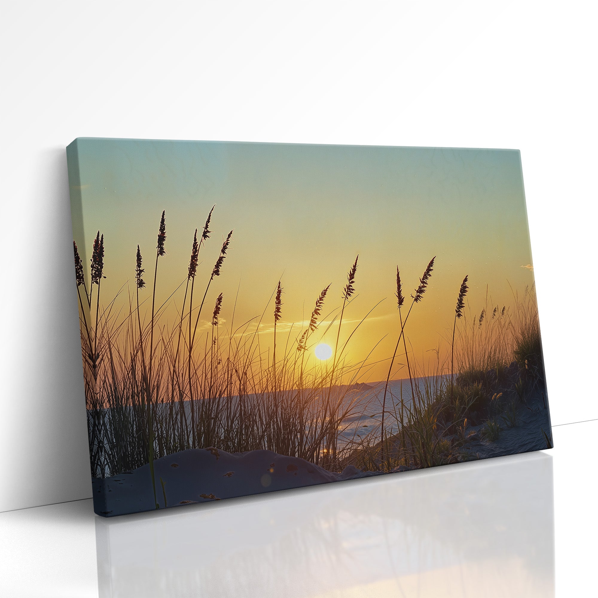 Where the Sun Meets the Sand