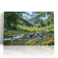 Sunlit Alpine Stream and Mountain Meadow