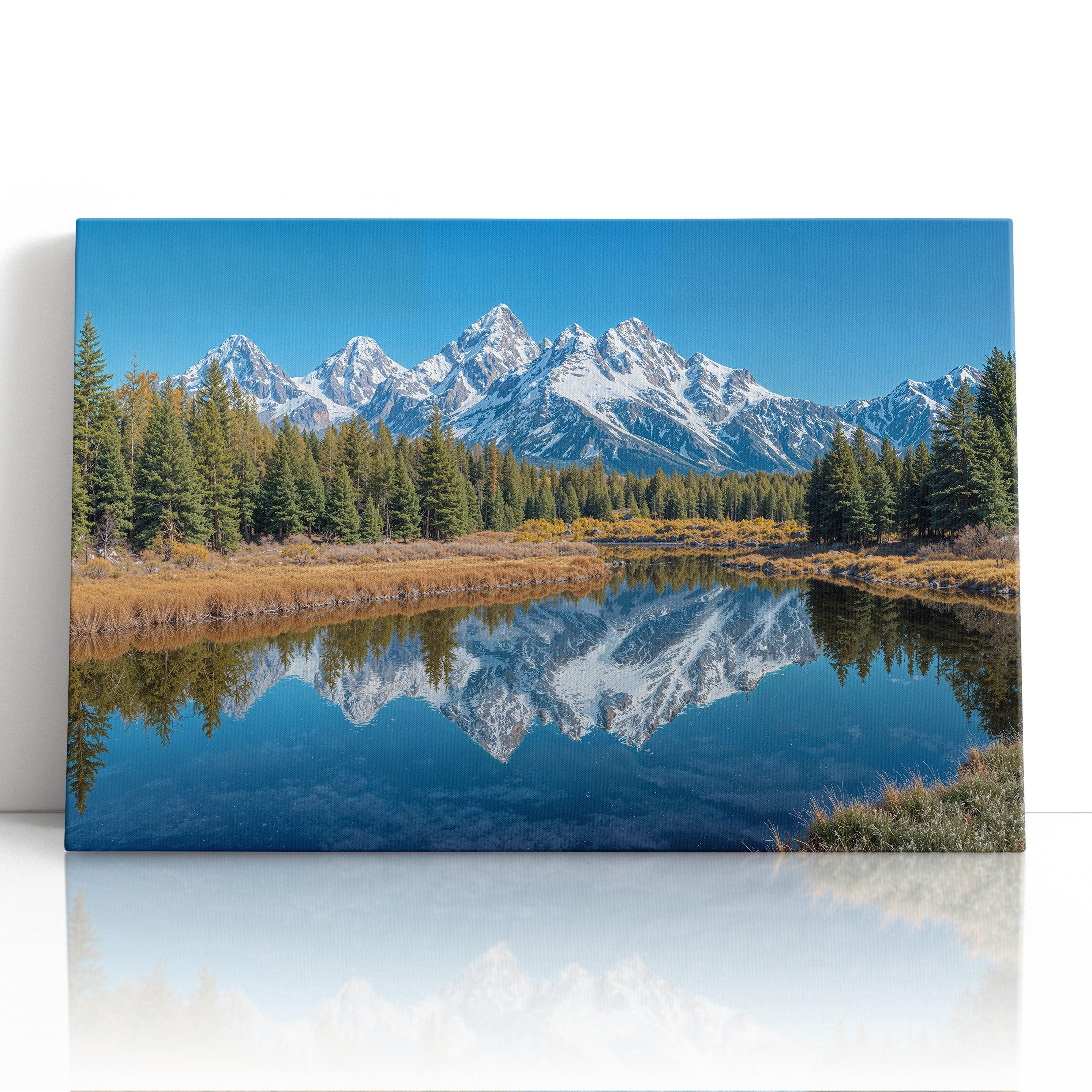 The Mirror of Snow and Pines