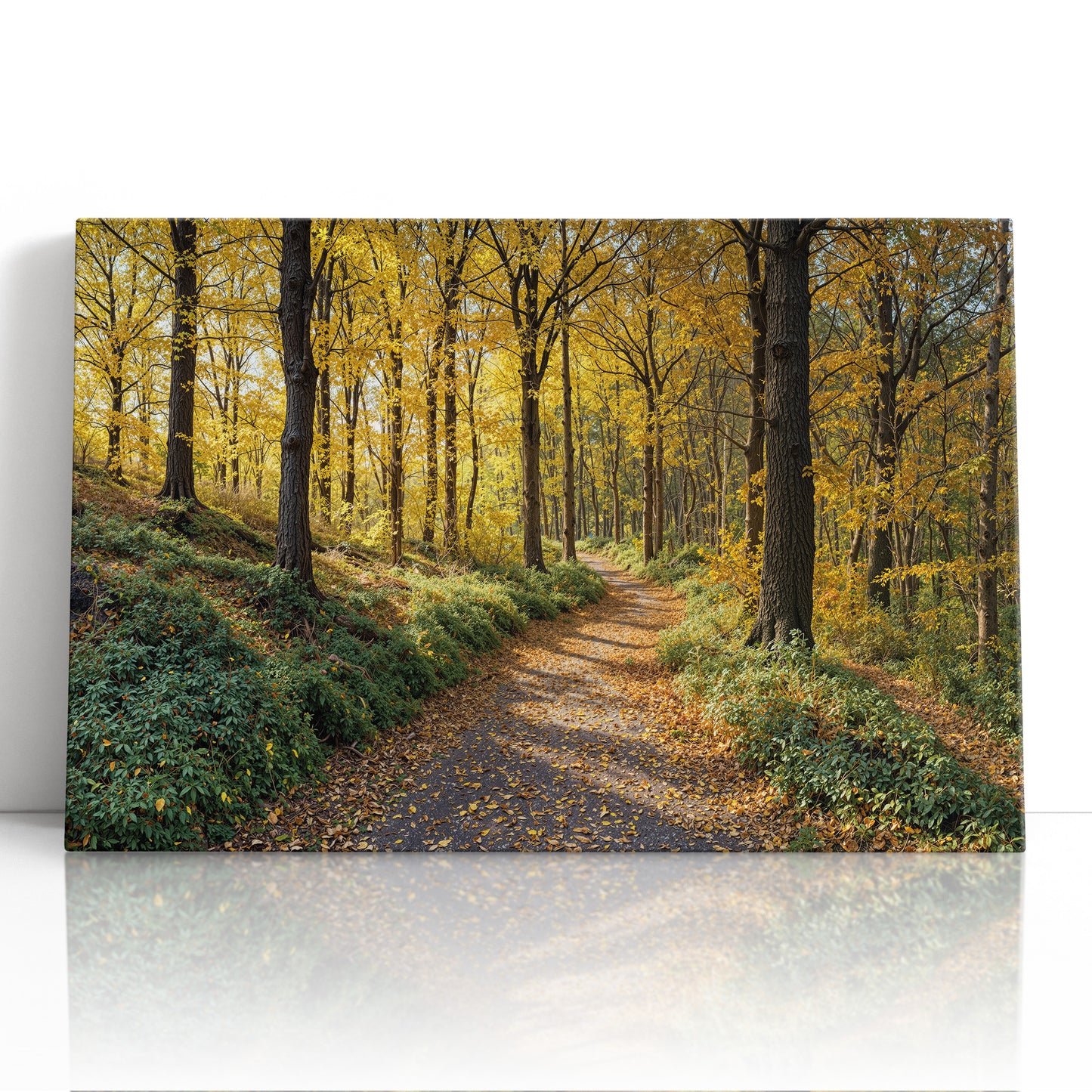 A Walk Through Harvest Light
