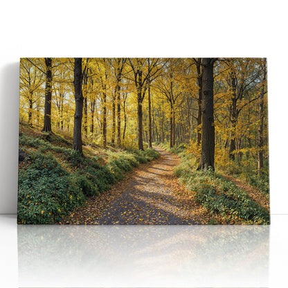 A Walk Through Harvest Light