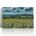 Sunflowers and Farmland Hills