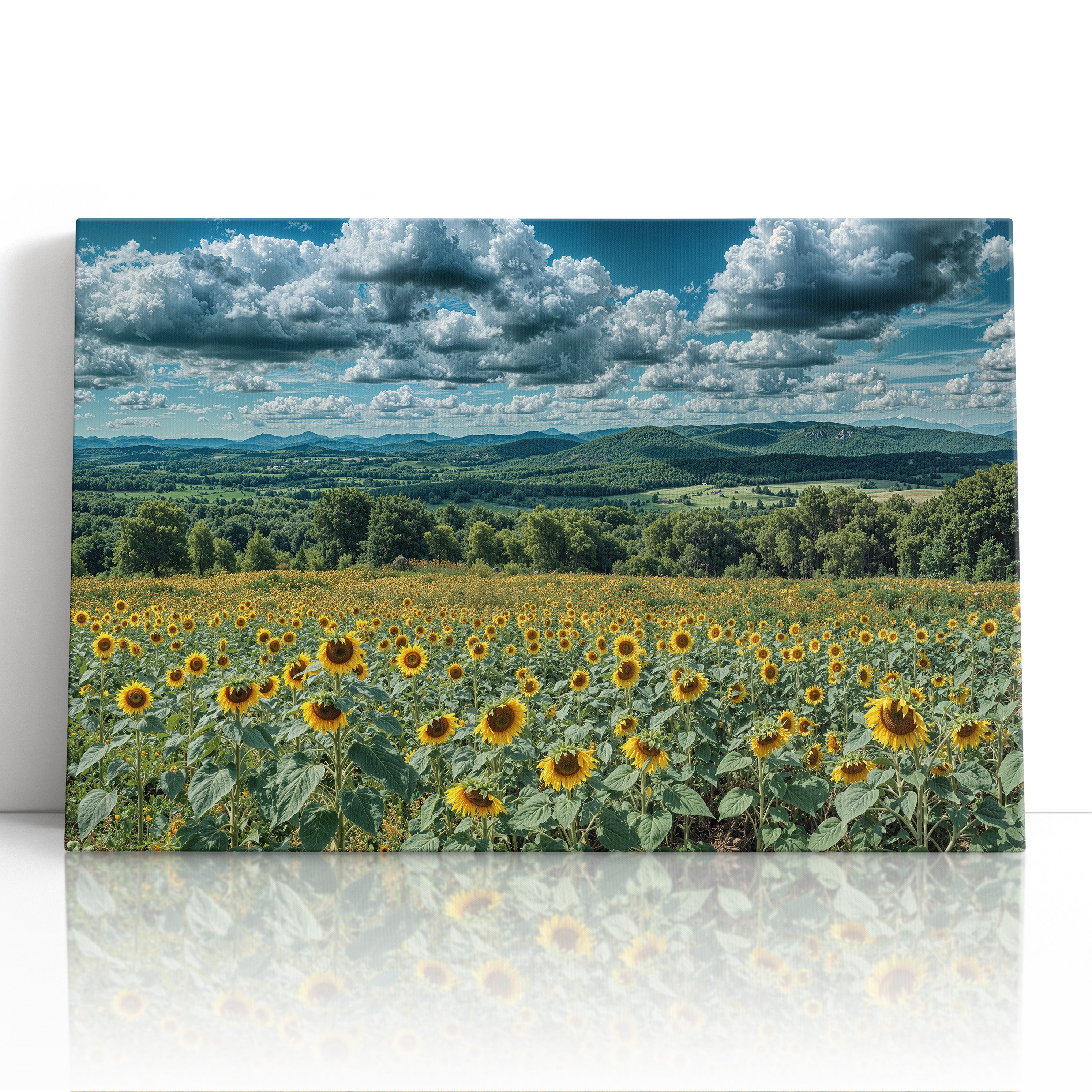 Sunflowers and Farmland Hills