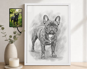 A framed black-and-white sketch portrait of a French bulldog stands on a wooden surface against a light wall. To the left, a small photo of a black French bulldog is shown above a beige vase with greenery and a candle.