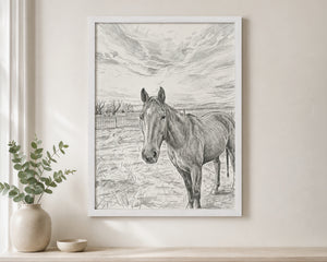 A framed black and white pencil sketch of a horse standing in a field, displayed on a light beige wall above a shelf with a small plant in a vase.