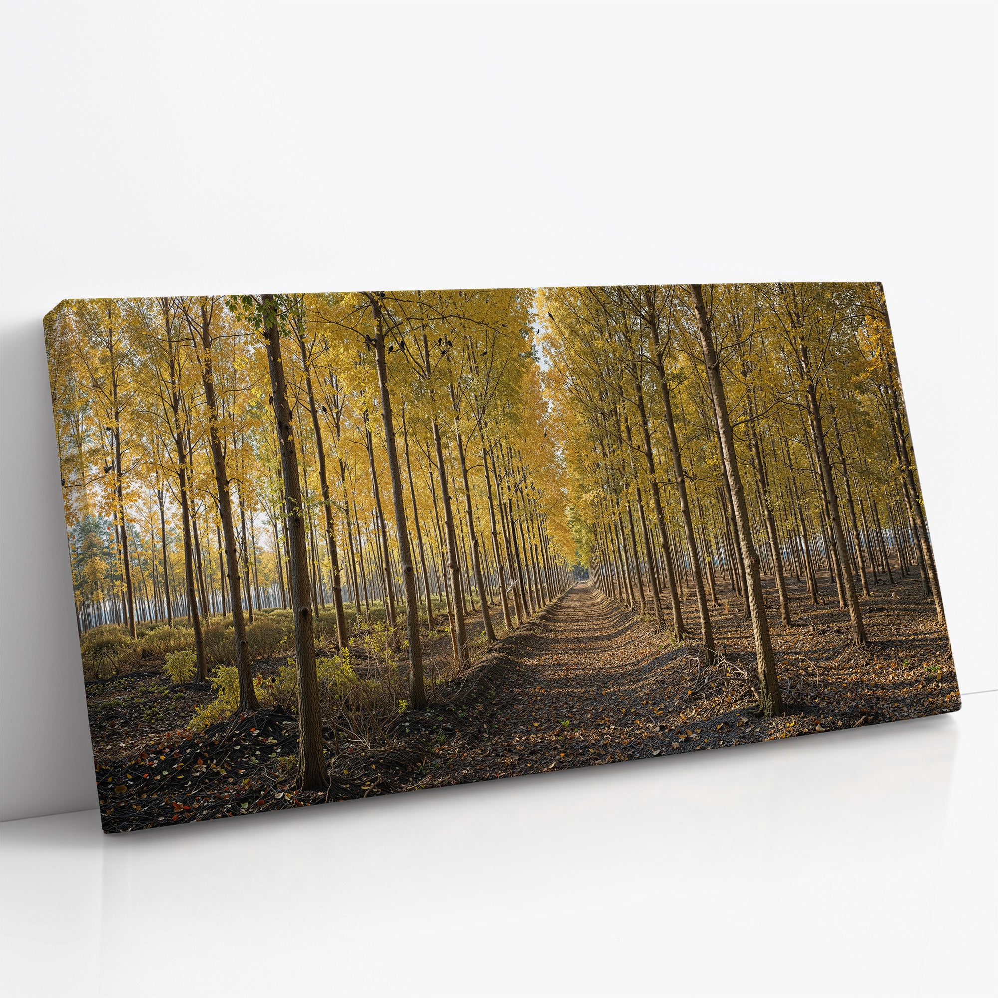 Whispers Through the Birchway