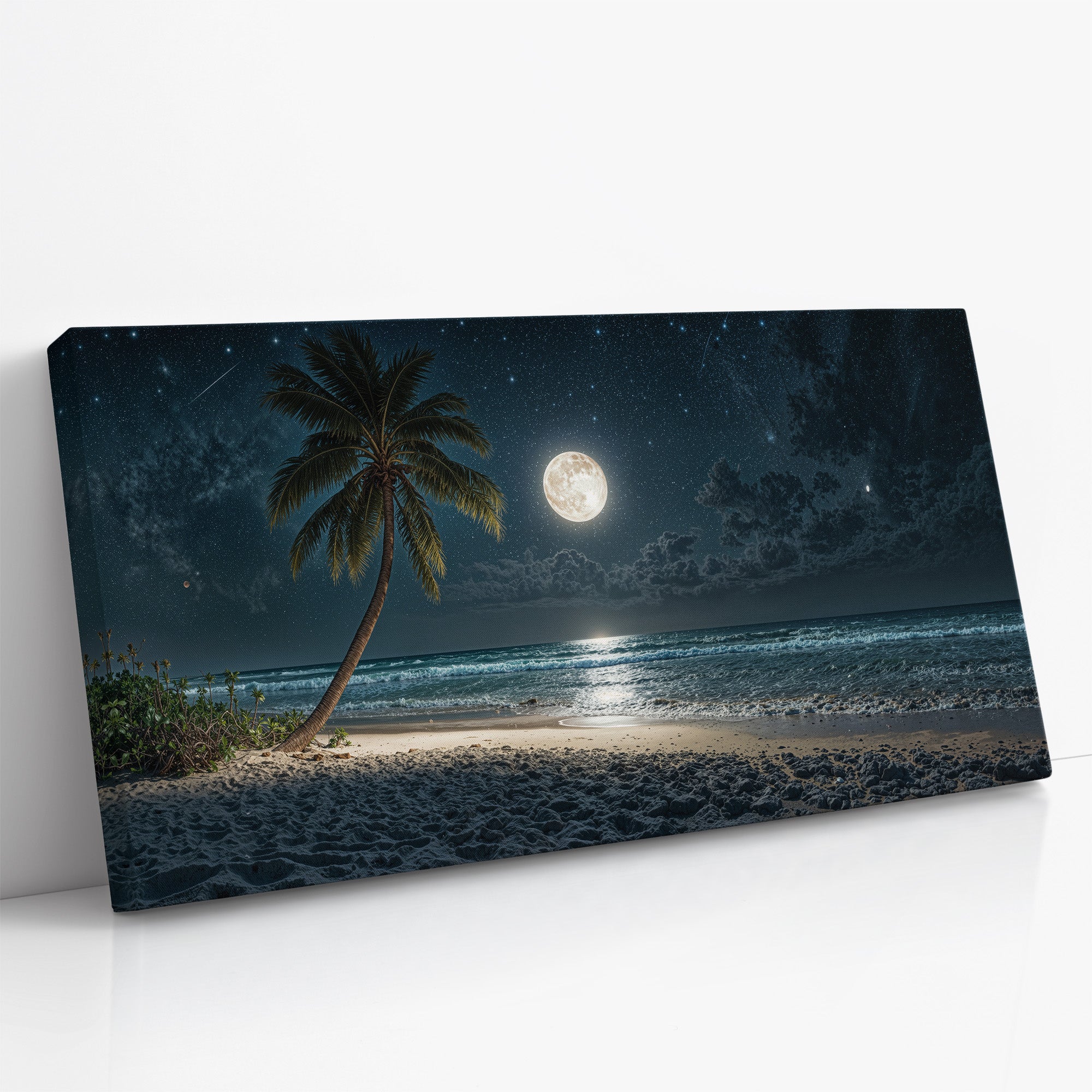 Whispers Beneath a Silver Sky