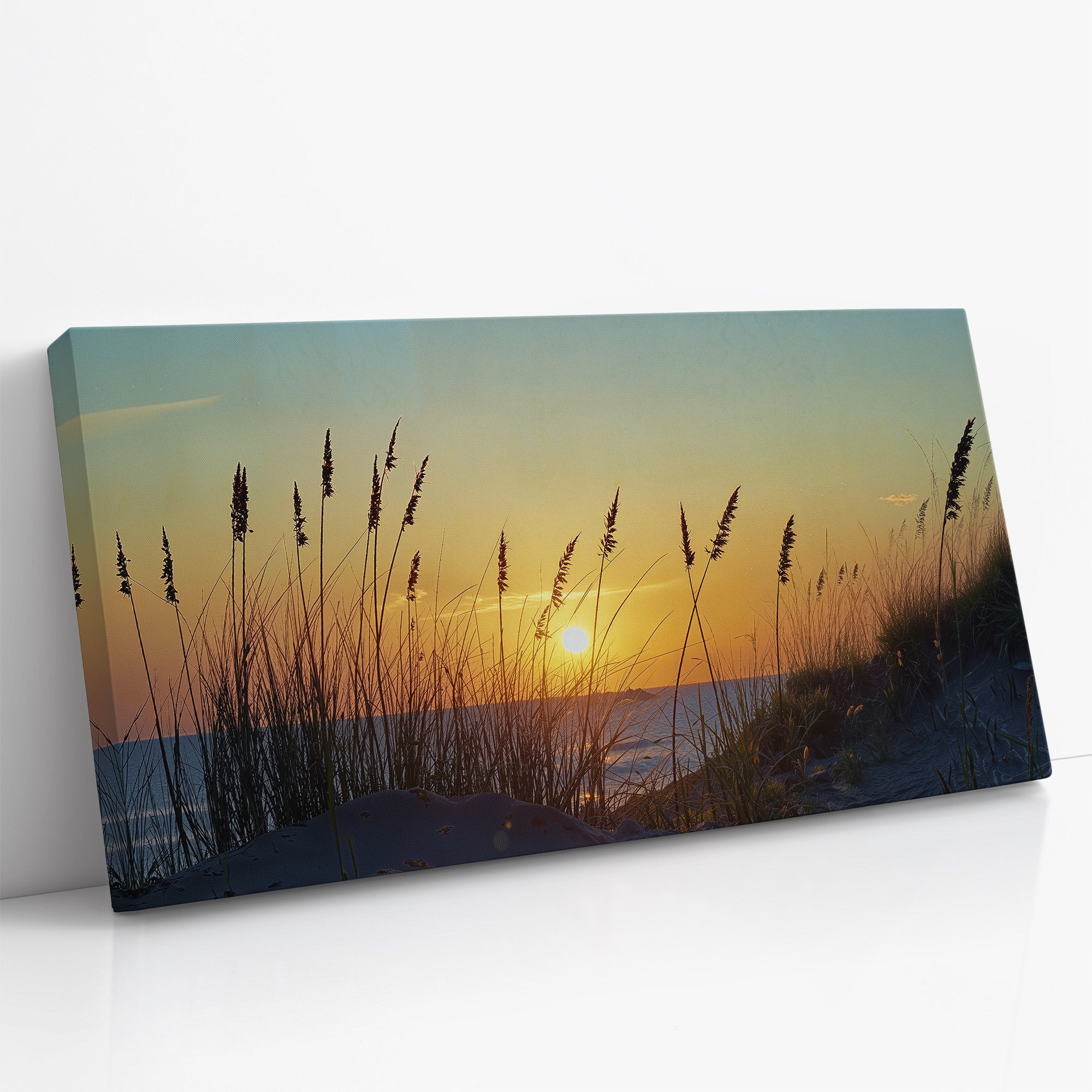 Where the Sun Meets the Sand