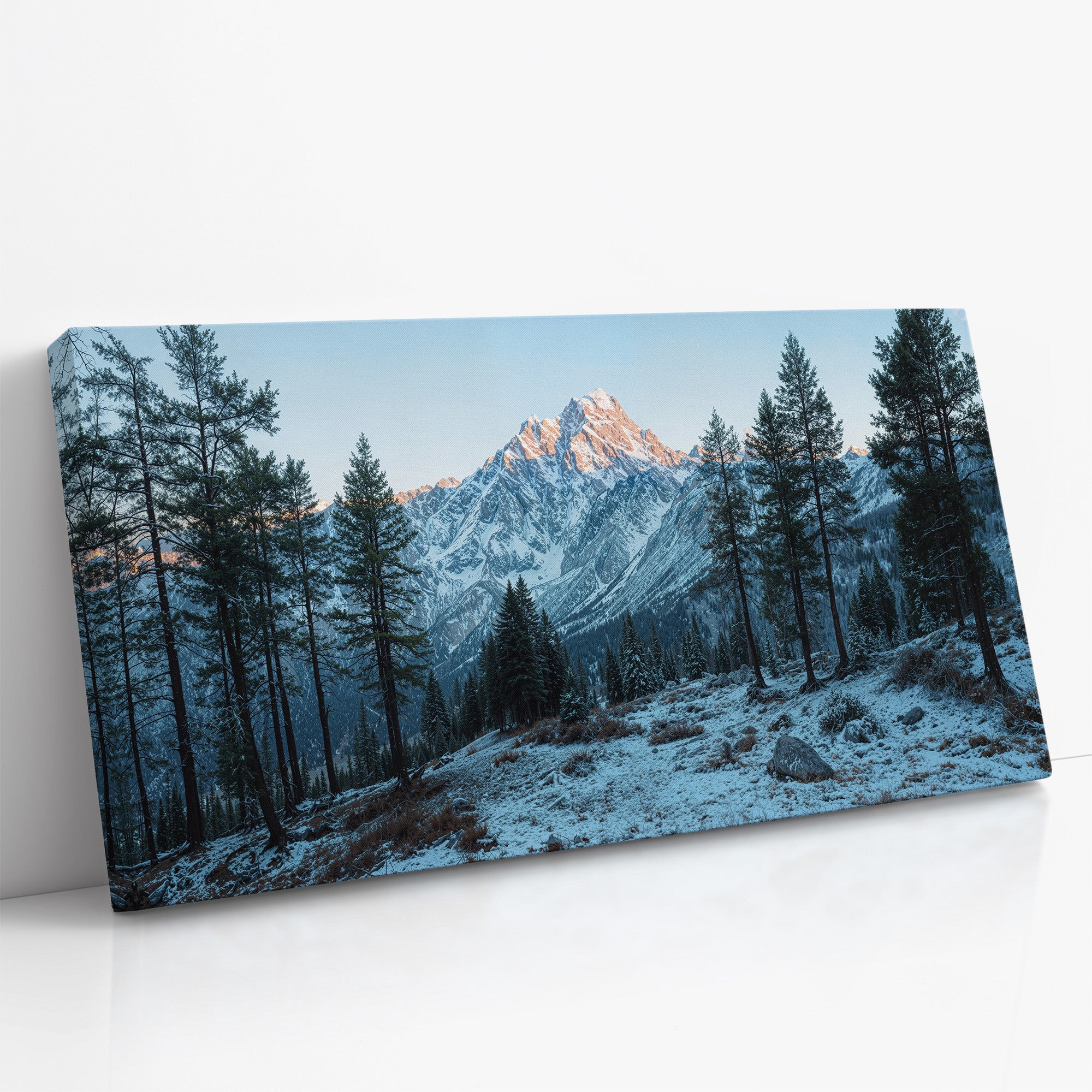 Where Pines Guard the Sleeping Summit