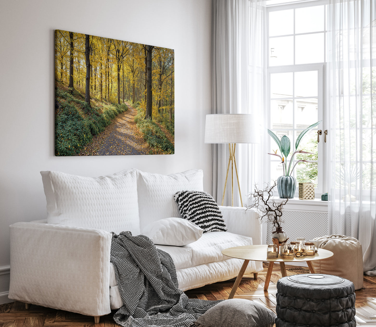 A Walk Through Harvest Light