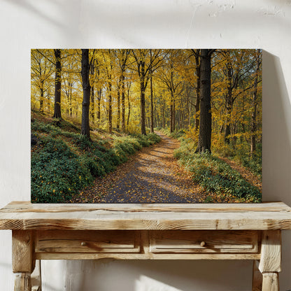 A Walk Through Harvest Light