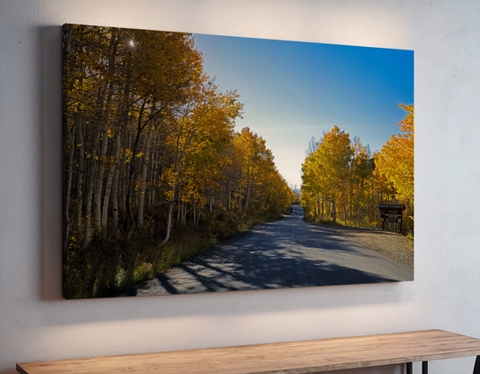 Golden Forest Path