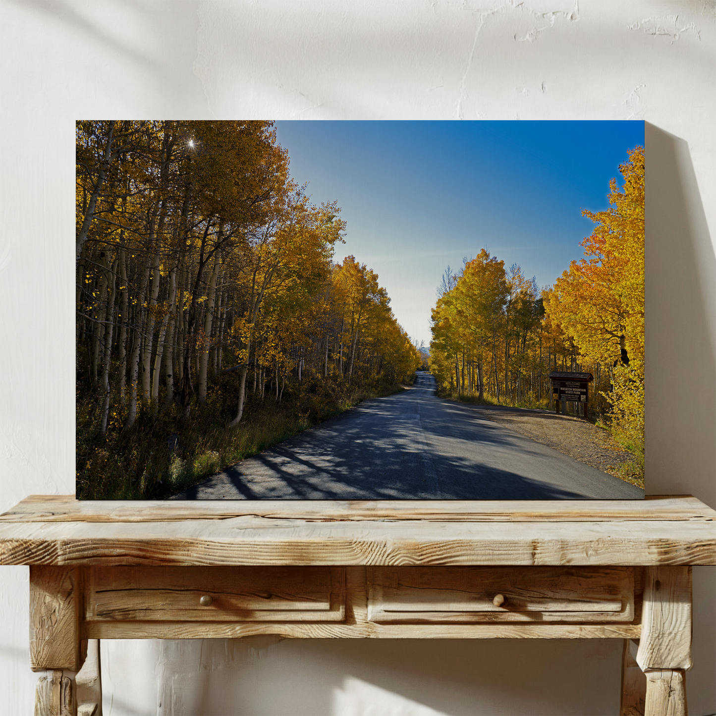 Golden Forest Path