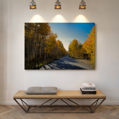 Golden Forest Path