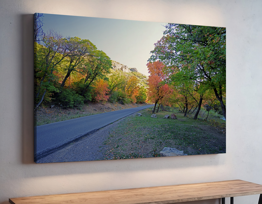 Rustic Mountain Road in Autumn