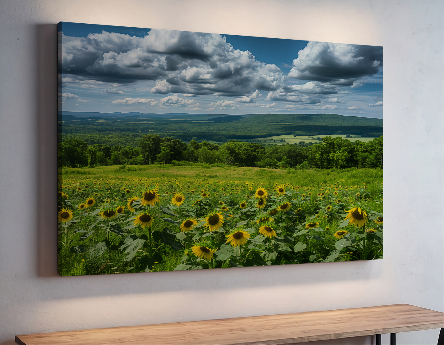 Sunflowers and Farmland Hills