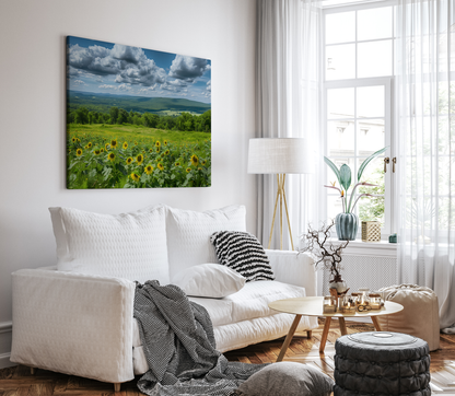 Sunflowers and Farmland Hills