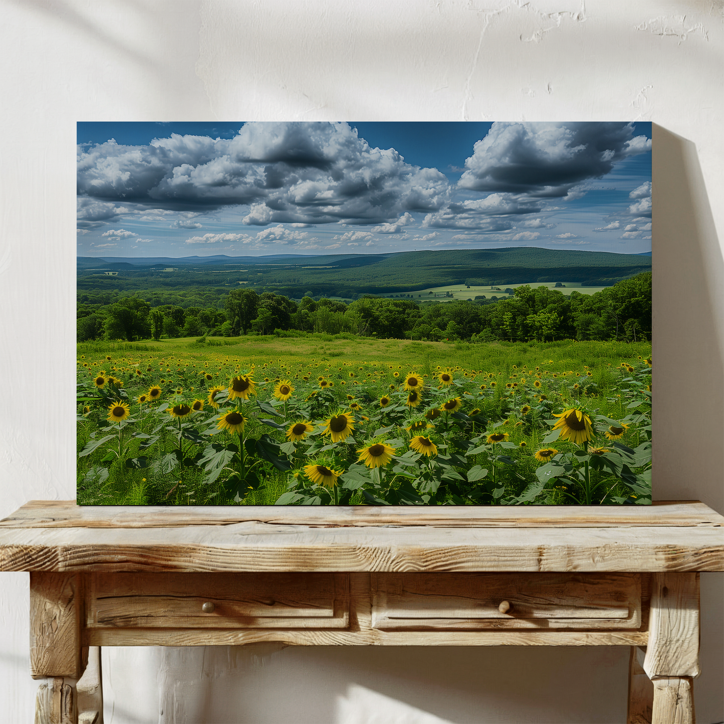Sunflowers and Farmland Hills